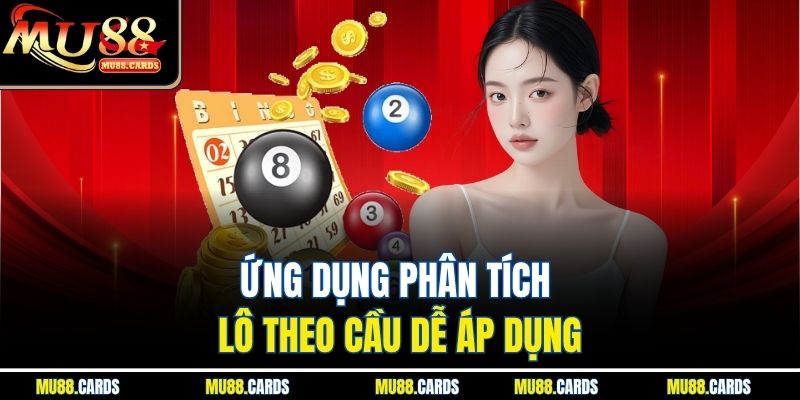 Ứng dụng phân tích lô theo cầu dễ áp dụng